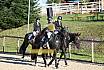 Sonntag Springreiter WB 