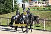 Sonntag Springreiter WB 