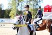 Sonntag Springreiter WB 
