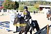 Sonntag Springreiter WB 