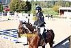 Sonntag Springreiter WB 