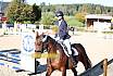 Sonntag Springreiter WB 