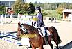 Sonntag Springreiter WB 