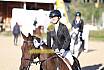 Sonntag Springreiter WB 