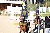 Sonntag Springreiter WB 
