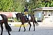 Sonntag Dressur Reiter A 