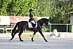 Sonntag Dressur Reiter A 