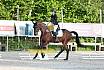 Sonntag Dressur Reiter A 