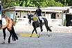 Sonntag Dressur Reiter A 