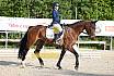 Sonntag Dressur Reiter A 