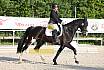Sonntag Dressur Reiter A 