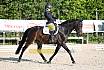 Sonntag Dressur Reiter A 