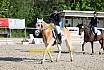 Sonntag Dressur Reiter A 