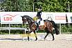 Sonntag Dressur Reiter A 