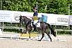 Sonntag Dressur Reiter A 