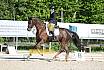 Sonntag Dressur Reiter A 