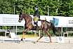Sonntag Dressur Reiter A 