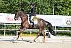 Sonntag Dressur Reiter A 