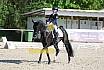 Sonntag Dressur Reiter A 