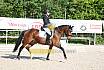 Sonntag Dressur Reiter A 