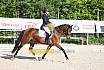 Sonntag Dressur Reiter A 