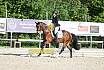 Sonntag Dressur Reiter A 