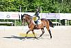Sonntag Dressur Reiter L