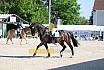 Sonntag Dressur Reiter L