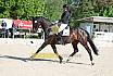 Sonntag Dressur Reiter L