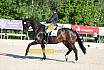 Sonntag Dressur Reiter L