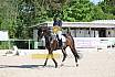Sonntag Dressur Reiter L