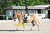 Sonntag Dressur Reiter L