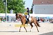 Sonntag Dressur Reiter L