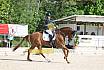 Sonntag Dressur Reiter L
