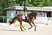 Sonntag Dressur Reiter L
