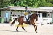 Sonntag Dressur Reiter L