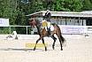 Sonntag Dressur Reiter L