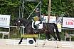 Sonntag Dressur Reiter L