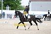 Sonntag Dressur Reiter L