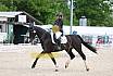 Sonntag Dressur Reiter L