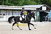 Sonntag Dressur Reiter L