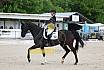 Sonntag Dressur Reiter L