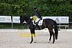 Sonntag Dressur Reiter L