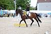 Sonntag Dressur Reiter L