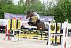 Sa Stil L Springen