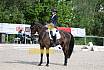 Sonntag Dressur Reiter L