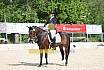 Sonntag Dressur Reiter L