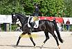 Sonntag Dressur Reiter L