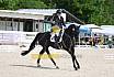 Sonntag Dressur Reiter L