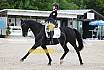 Sonntag Dressur Reiter L